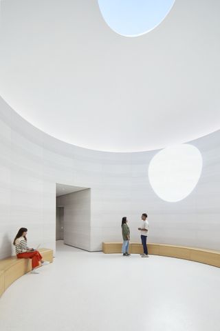 Apple Park Observatory in California, showing flowing, curved lines and a semi buried structure into a hill